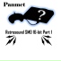 Panmet