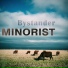 Minorist