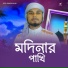 Rahmatullah Jami