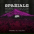 Spaziale