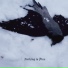 phobi9 feat. SHUEVA