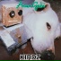 Kirdz