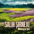 Salıh Sırnexi