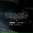 Strix (п.у. ЧЕТОНЕТО)