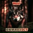 DK PROJECT