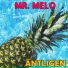 Mr. Melo