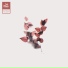 Taki Brano, Eric Silva, Lofi Munk Music