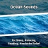 Ocean Currents, Ocean Sounds, Nature Sounds