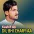 Kashif Ali