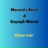 Mustafa Biçer, Kayaşlı Murat