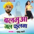 Guddu Lahari