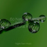 Mother Nature FX, Spa, Rain Sounds XLE Library
