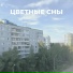 Один Новый День