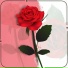 SIMOW