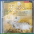 Chinese Orchestra