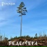 Полумрак