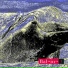 Baleine