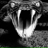 slickgecko
