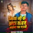 R.N Raj