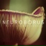 Neuroborus