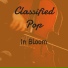 Classifiedpop