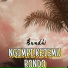 Bundhi