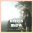 Driven Snow