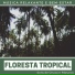 Bernardo Miguel Floresta