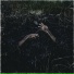 PHXXSPHOR