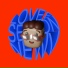 NewV