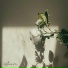 estuari