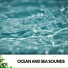 Dog Relaxation, Ocean Sounds FX, Music for Working
