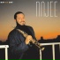 Najee - Day By Day(1988)