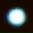 Spection