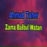 Ahmad Taher