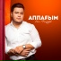 Elnur Nauryzbek