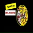 FORRÓ DO MELLA PINTO