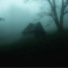 The Lonely Tree