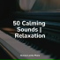 Study Music & Sounds, Piano Soul, Calm shores