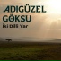 Adıgüzel Göksu