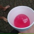 TrippX