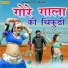 Seema Chaudhary