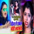 Antra Singh Priyanka, Krishna Saini