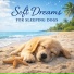 Dog Sleep Lab