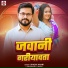 Shashi Anari