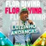 Luizinho Andanças