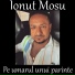 Ionut Mosu