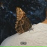 TYL3R DAVIS feat. Moone