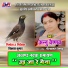 Annu Vaishnav