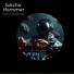 Sascha Hommer